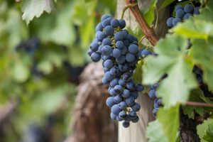 Best in 2027 How to Money Making Slots: Step-by-Step Guide for India (2027)